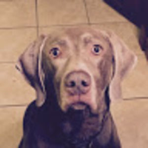 Meet your Posher, Stephen